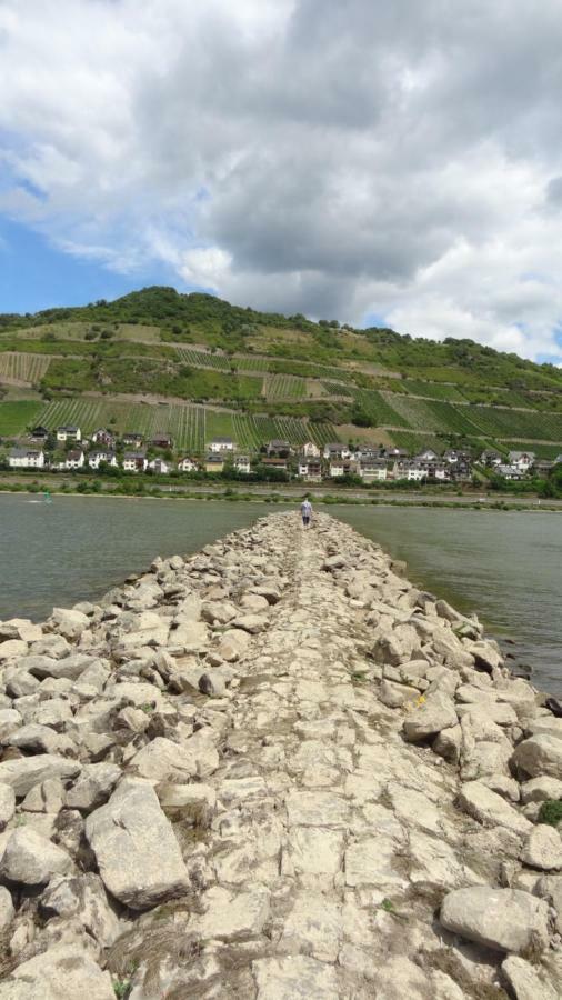 "Haus Schloss Fuerstenberg" Bacharach Bagian luar foto